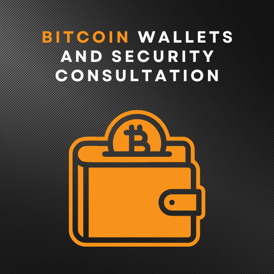 Assisted Bitcoin wallet setup and security consultation